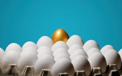 USDA Bids for Eggs (Nov 15, 2019)