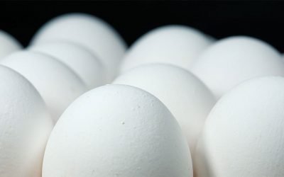 USDA Bids for Eggs